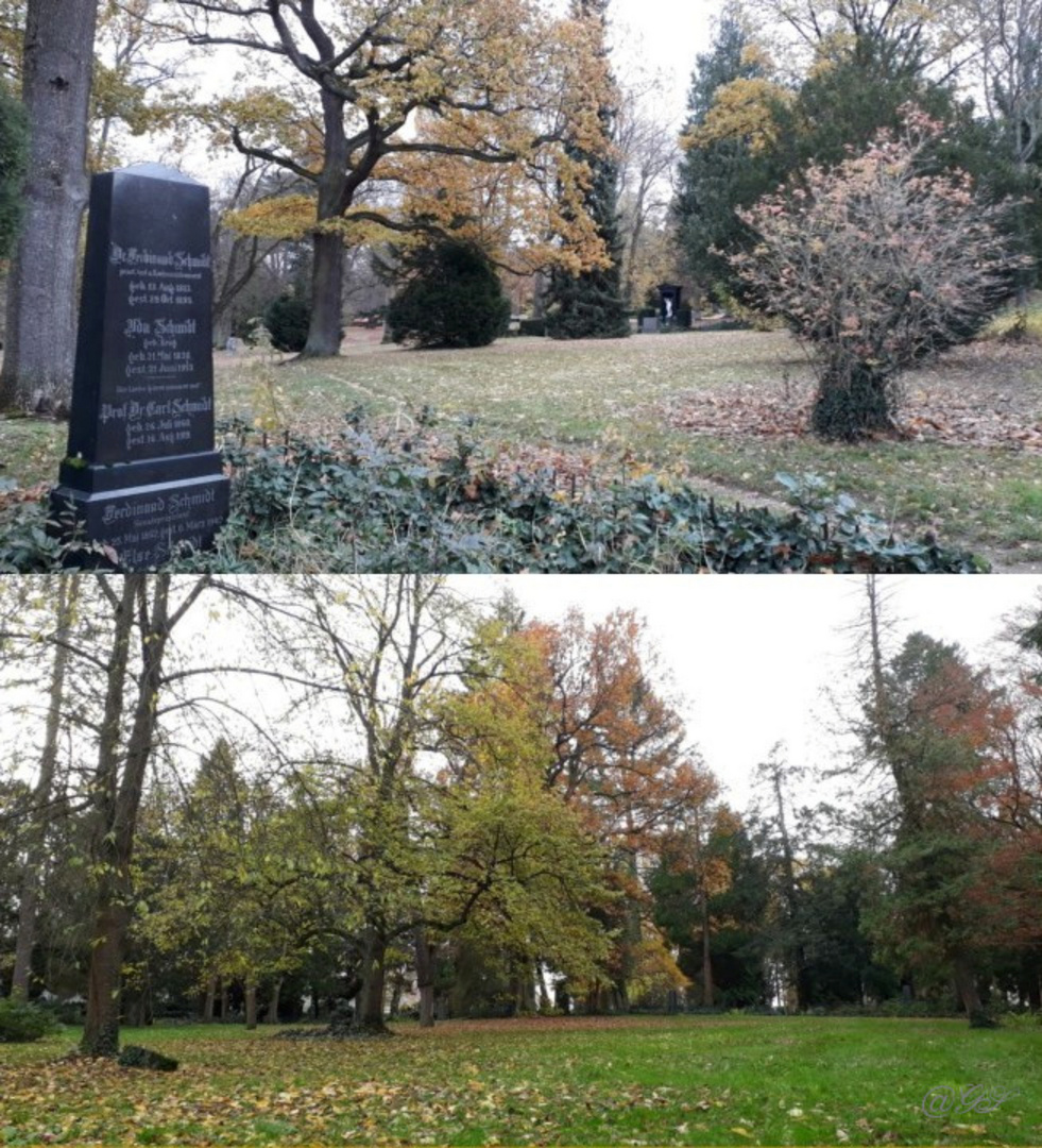 Herbststimmung auf dem alten Friedhof Gießen
