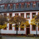 Herbststimmung auf dem Bischofsplatz - Mainz | November