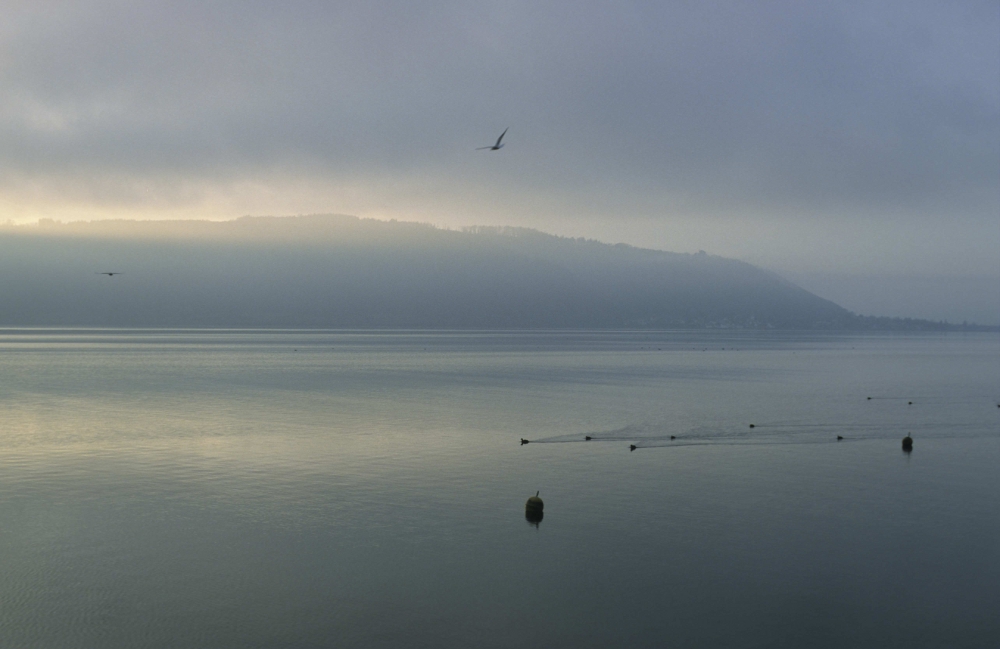 Herbststimmung auf dem Bodanrück (II)