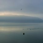 Herbststimmung auf dem Bodanrück (II)