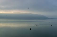 Herbststimmung auf dem Bodanrück (II)