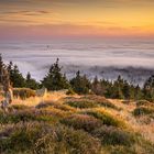 Herbststimmung auf dem Brocken