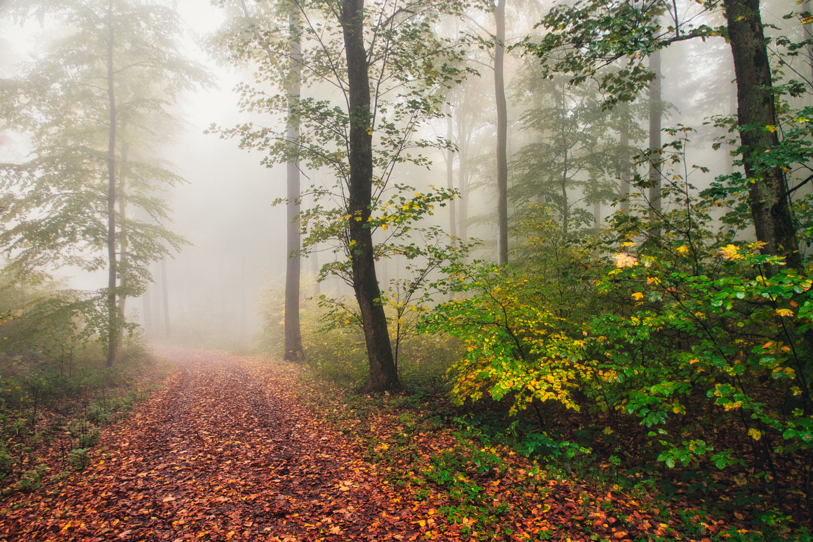 Herbststimmung auf dem Donnersberg 