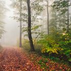 Herbststimmung auf dem Donnersberg 