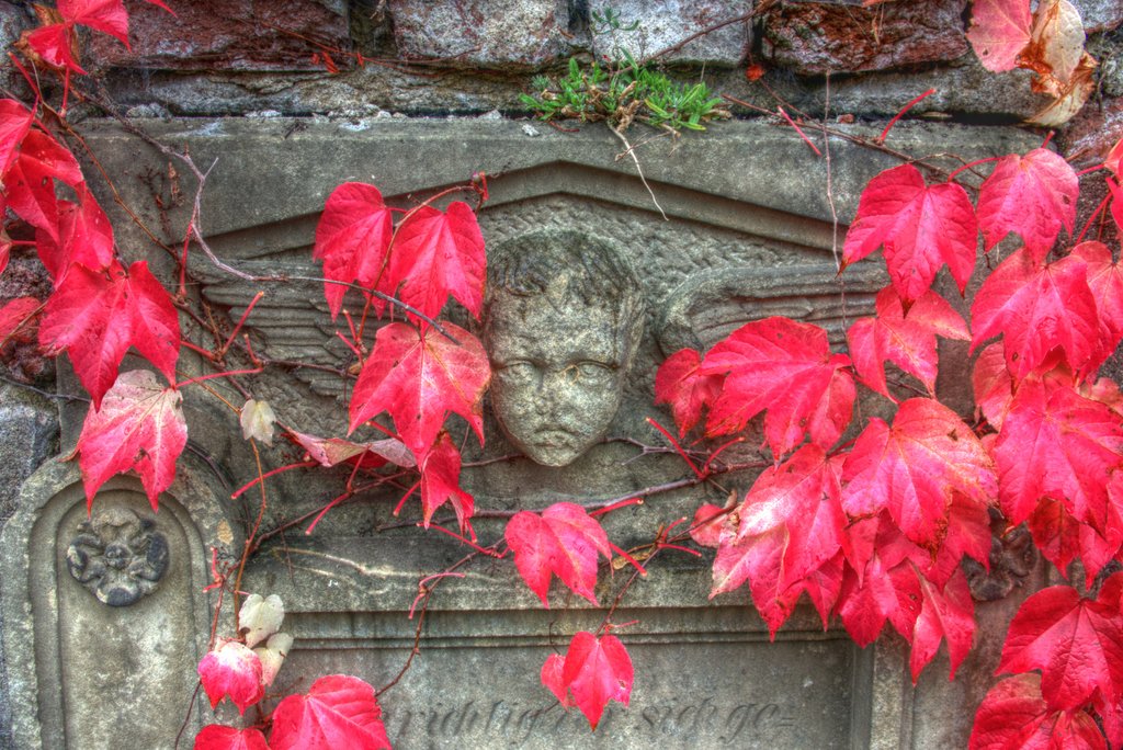 Herbststimmung auf dem Friedhof der Erlöserkirche in Gevelsberg