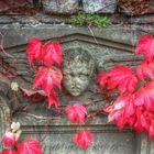 Herbststimmung auf dem Friedhof der Erlöserkirche in Gevelsberg