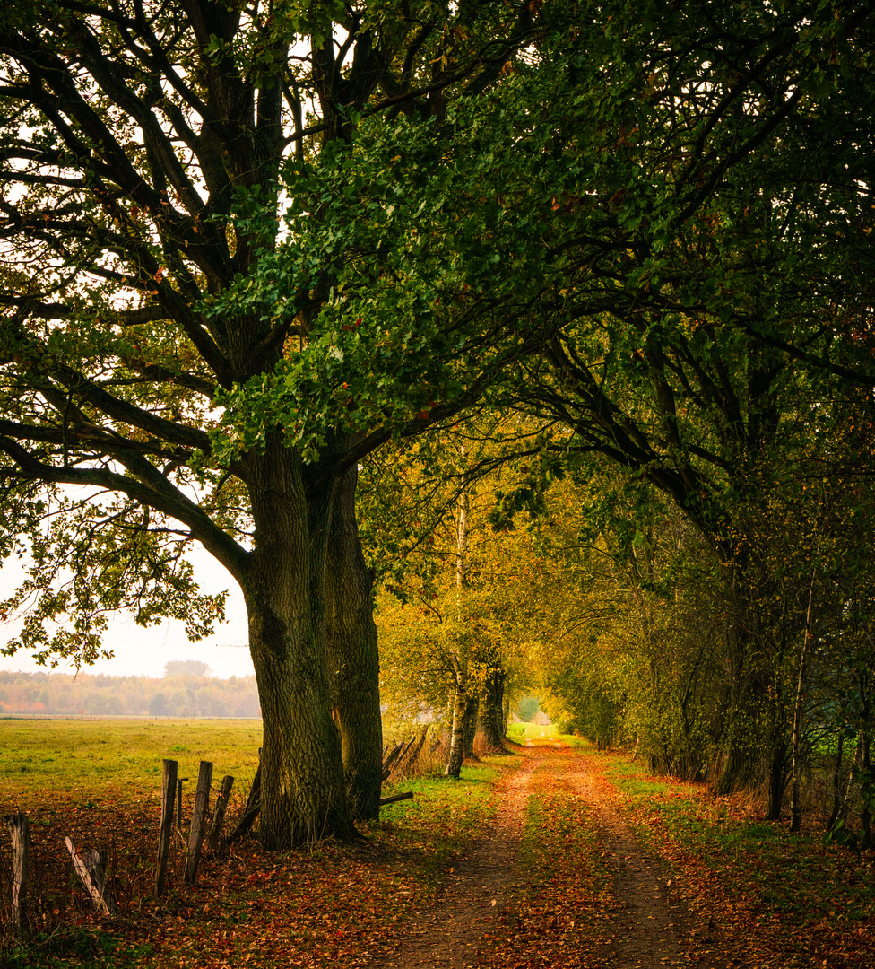 Herbststimmung auf dem Land