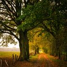 Herbststimmung auf dem Land