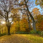 Herbststimmung auf dem Mauracher Berg