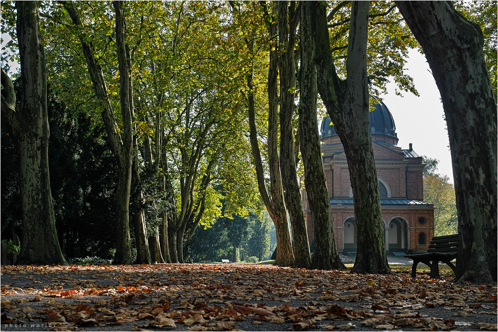 Herbststimmung auf dem Südfriedhof