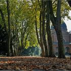 Herbststimmung auf dem Südfriedhof