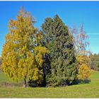 Herbststimmung auf den Jurahöhen