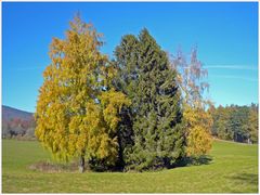 Herbststimmung auf den Jurahöhen