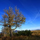 Herbststimmung auf der Mussen Alm über den Lesachtal Kärnten