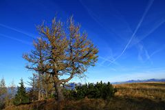 Herbststimmung auf der Mussen Alm über den Lesachtal Kärnten