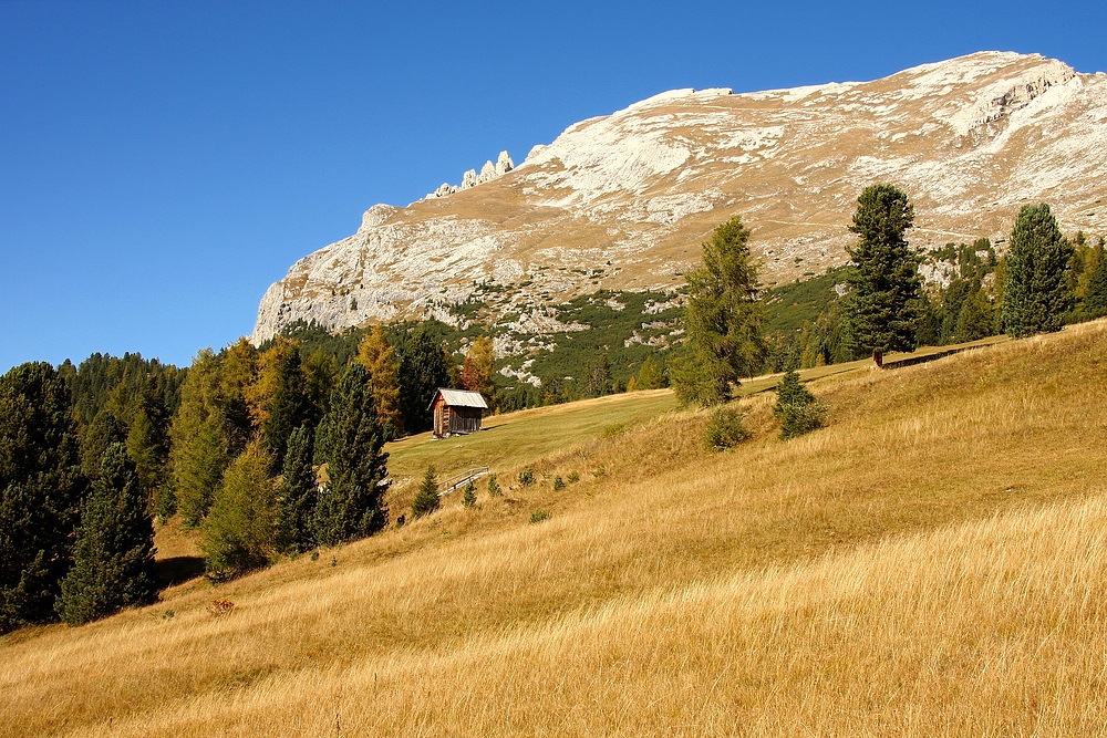 Herbststimmung auf der Plätzwiese 2000 Meter, im Hintergrund der Dürrenstein 2839 Meter.