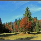 Herbststimmung auf der Schwägalp