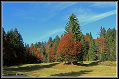 Herbststimmung auf der Schwägalp