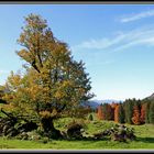 Herbststimmung auf der Schwägalp II