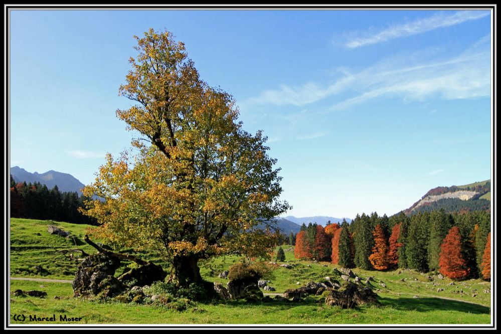 Herbststimmung auf der Schwägalp II