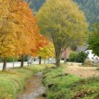 Herbststimmung auf der Straße nach Klebach-Lind