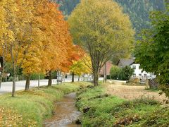 Herbststimmung auf der Straße nach Klebach-Lind