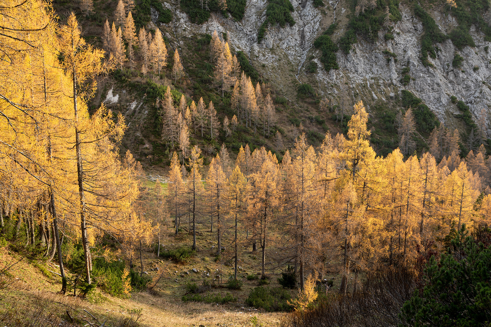 Herbststimmung auf der Tauplitzalm