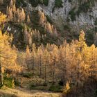 Herbststimmung auf der Tauplitzalm