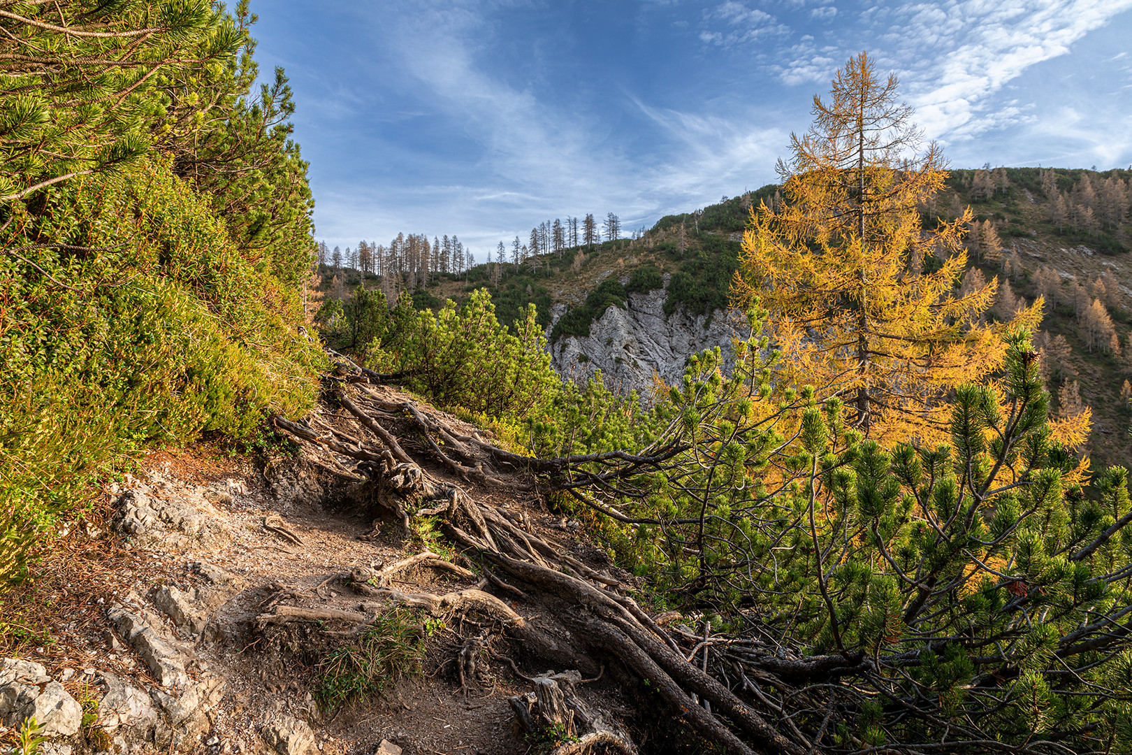 Herbststimmung auf der Tauplitzalm