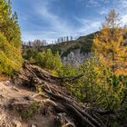 Herbststimmung auf der Tauplitzalm