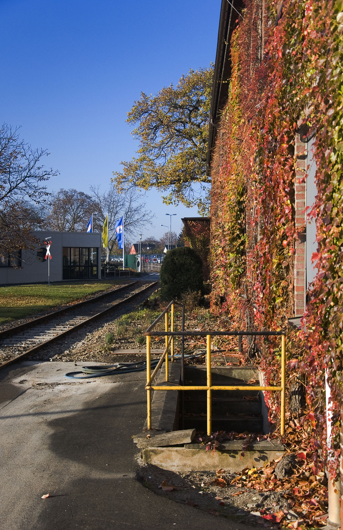 Herbststimmung auf der Zuckerfabrick Euskirchen