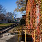 Herbststimmung auf der Zuckerfabrick Euskirchen