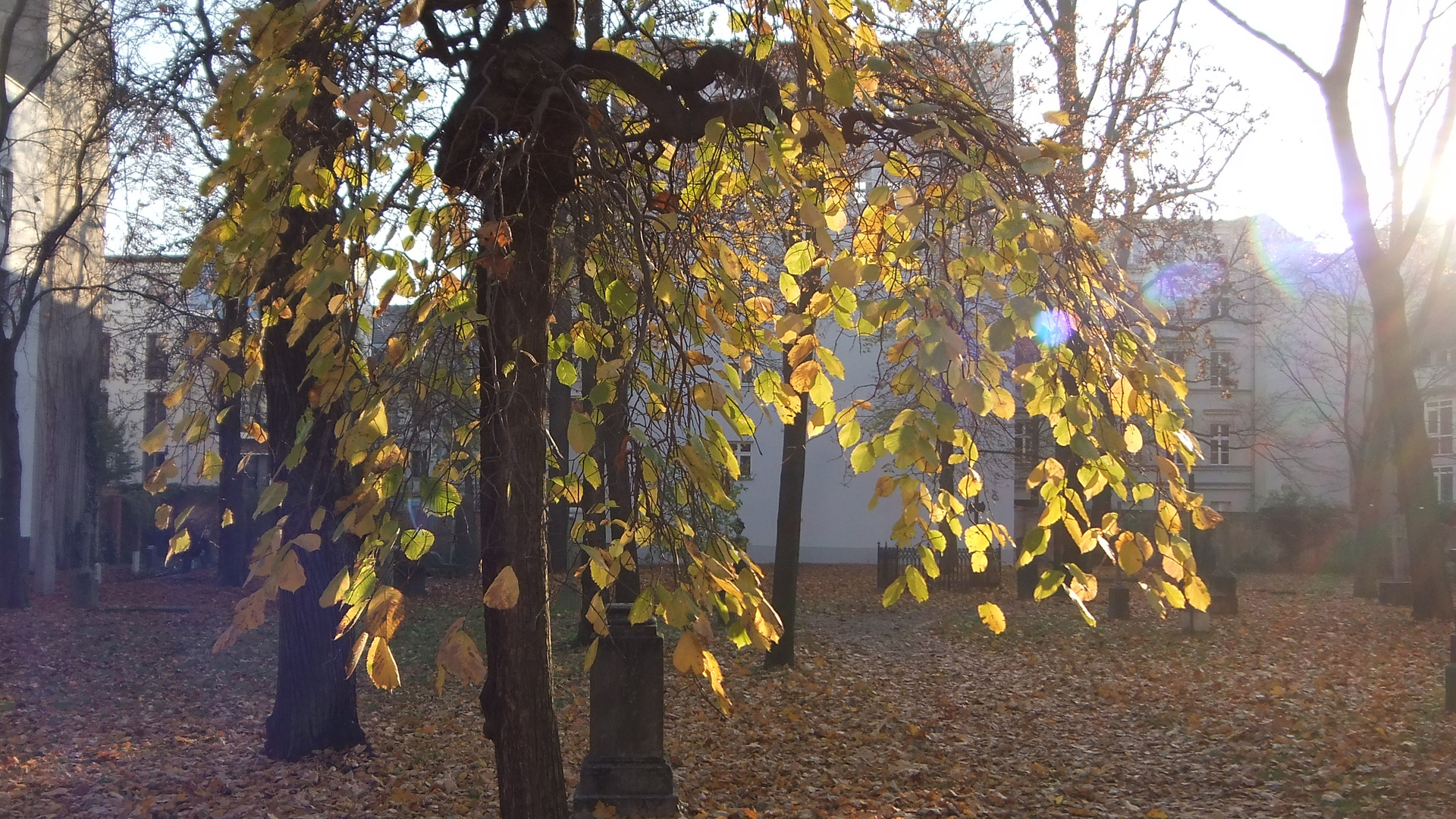 Herbststimmung auf Friedhof in 3D