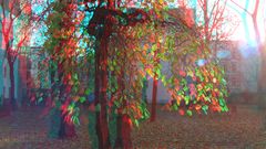 Herbststimmung auf Friedhof in 3D Anaglyph