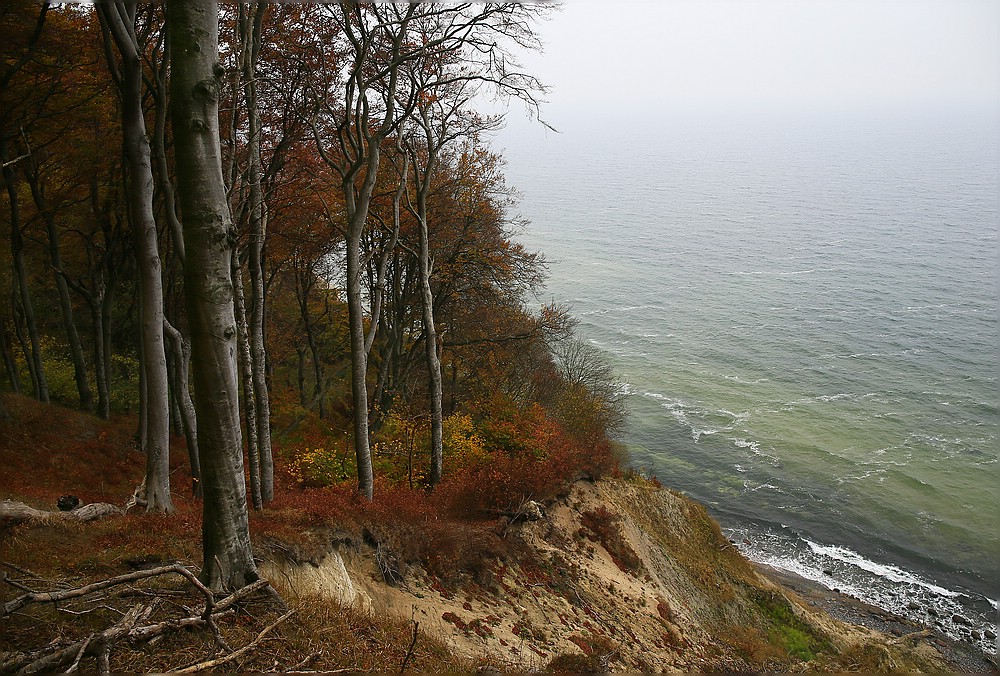 Herbststimmung auf Rügen 2