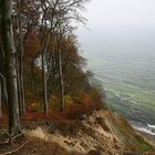 Herbststimmung auf Rügen 2