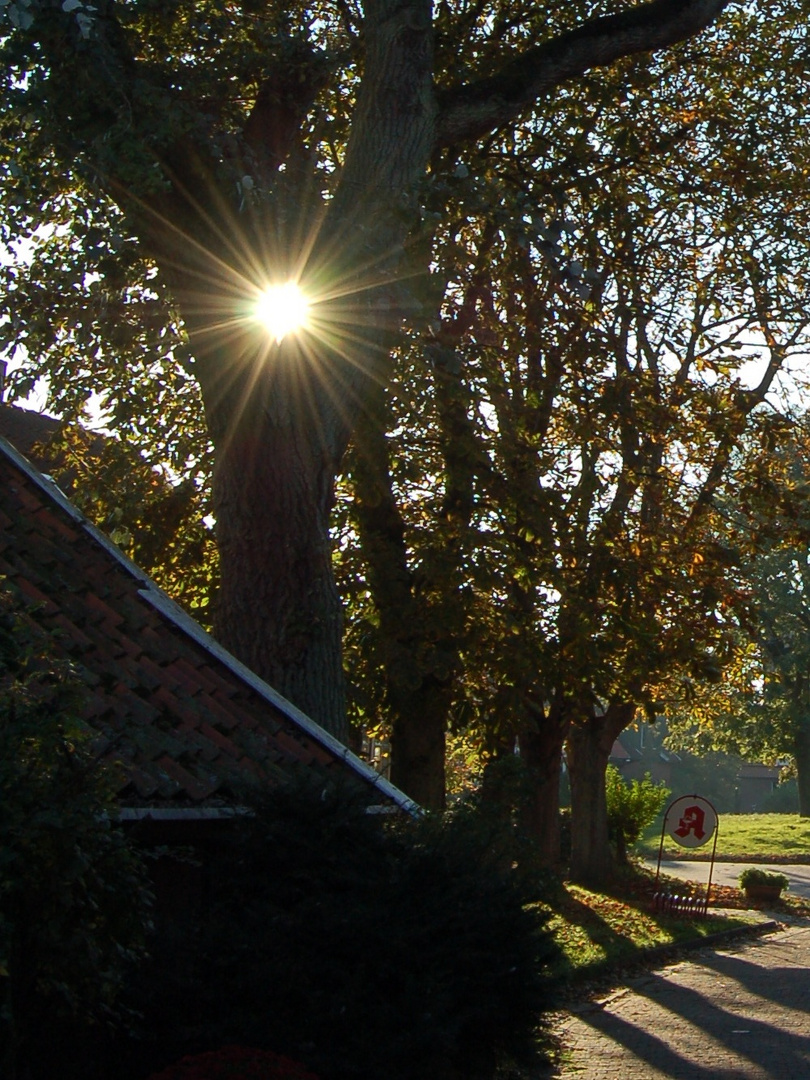 Herbststimmung auf Spiekeroog