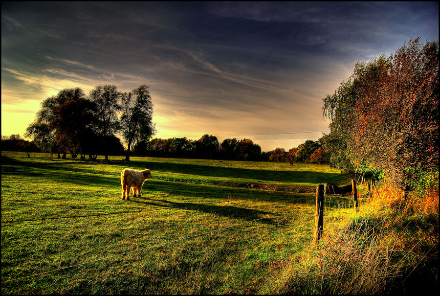 Herbststimmung