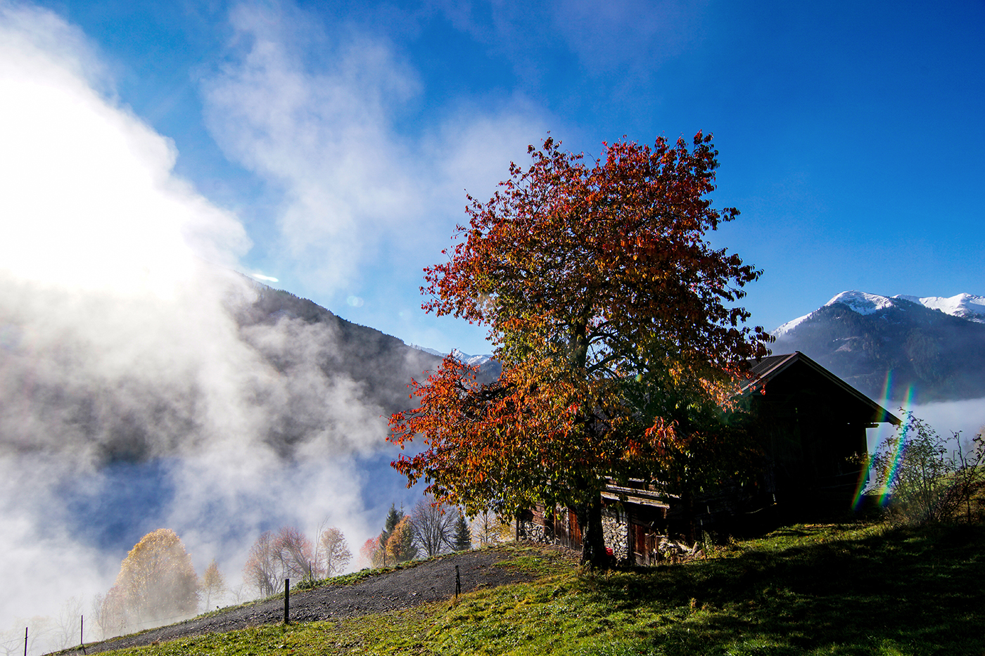 Herbststimmung