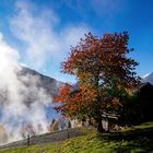 Herbststimmung