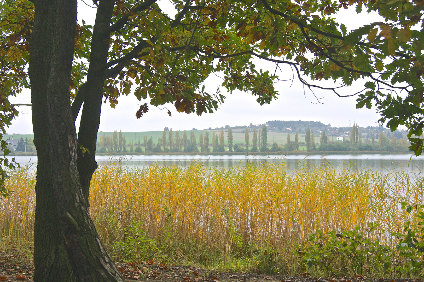 Herbststimmung