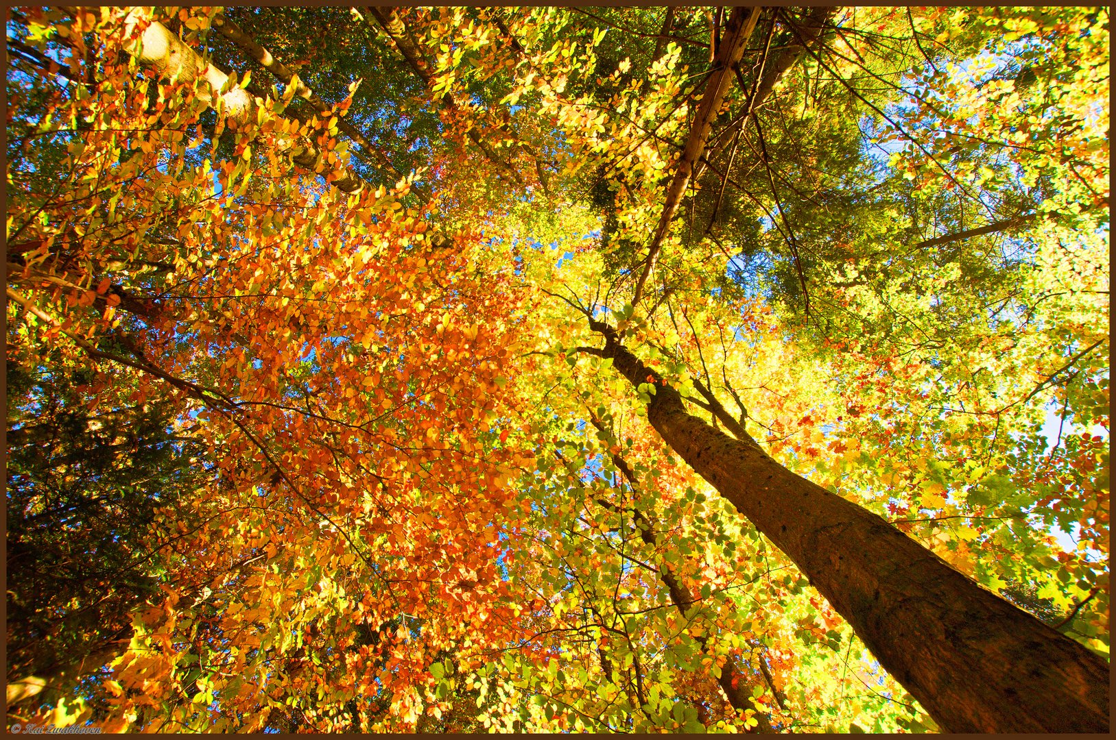 Herbststimmung