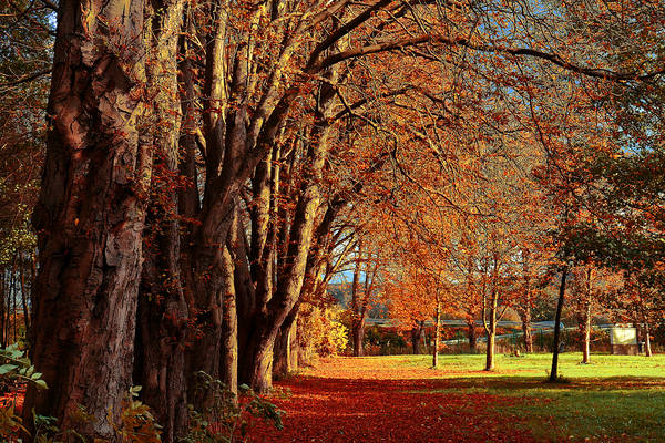 Herbststimmung