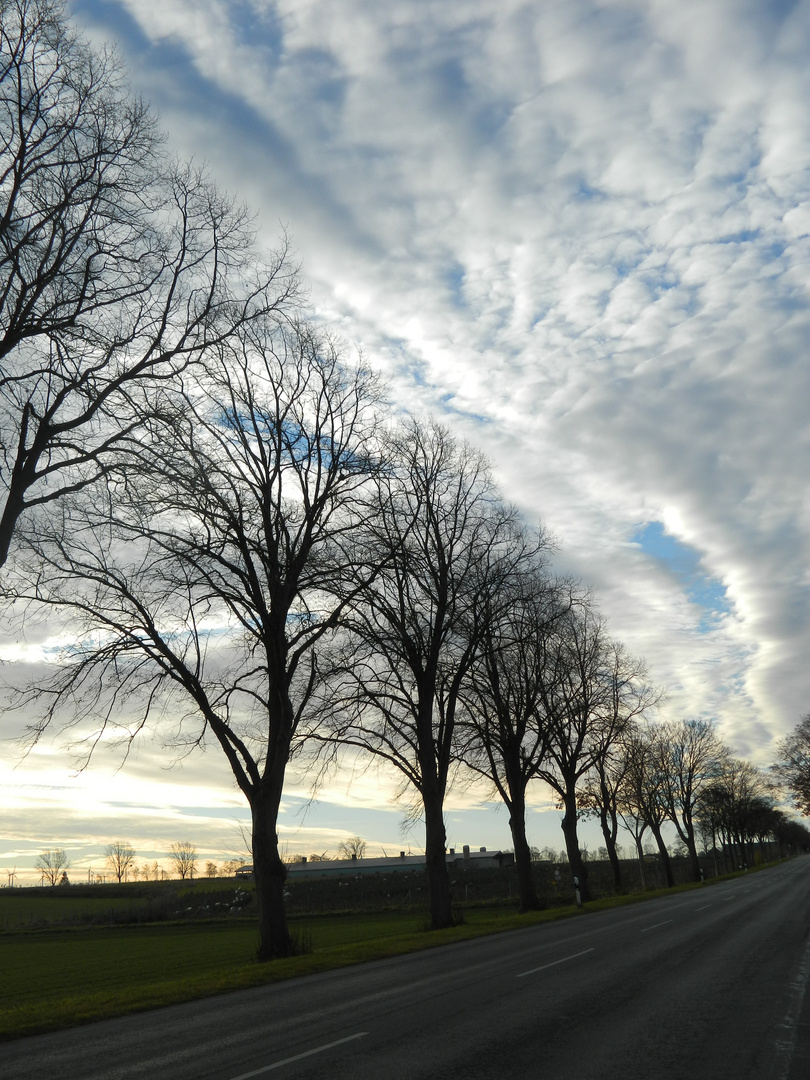 Herbststimmung