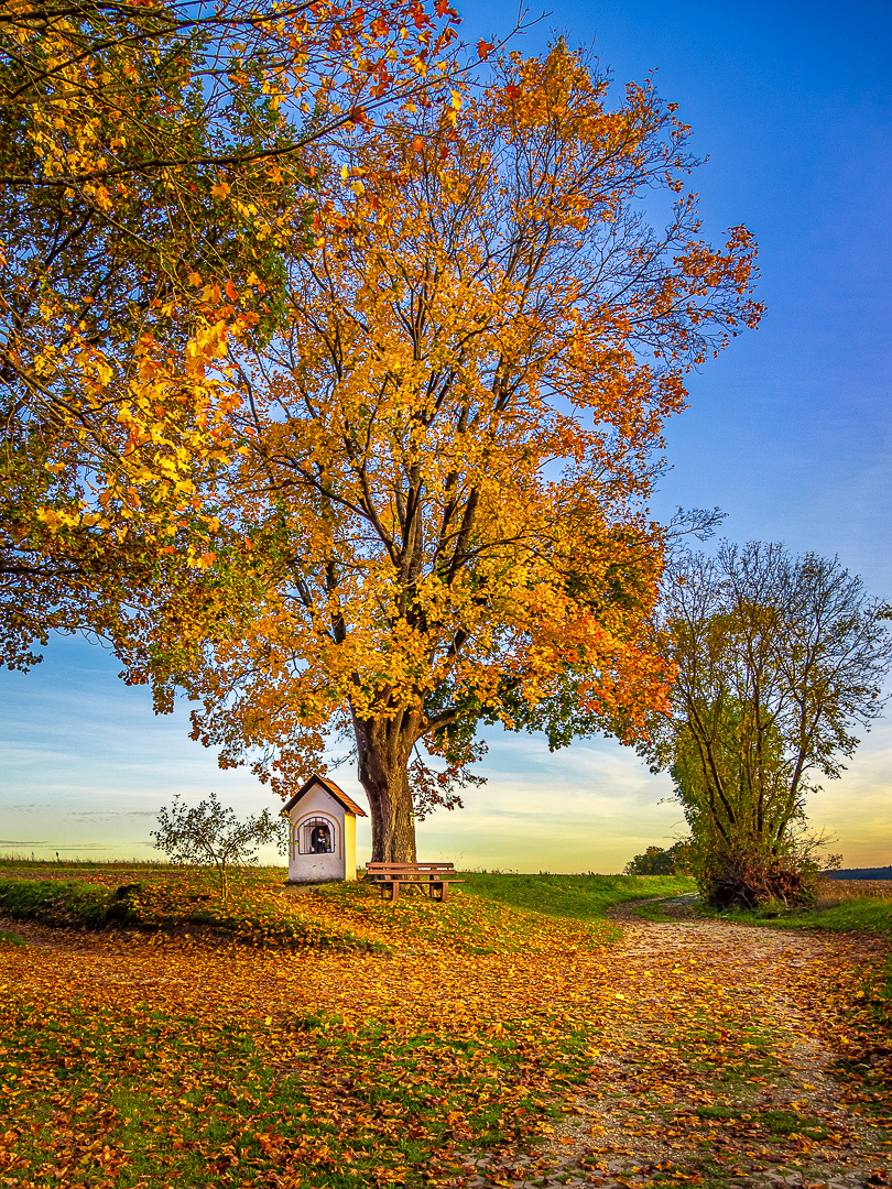 Herbststimmung