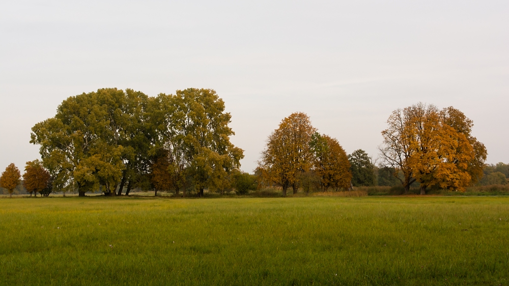 Herbststimmung