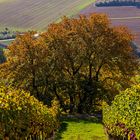 Herbststimmung