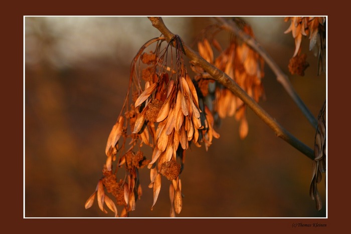 Herbststimmung