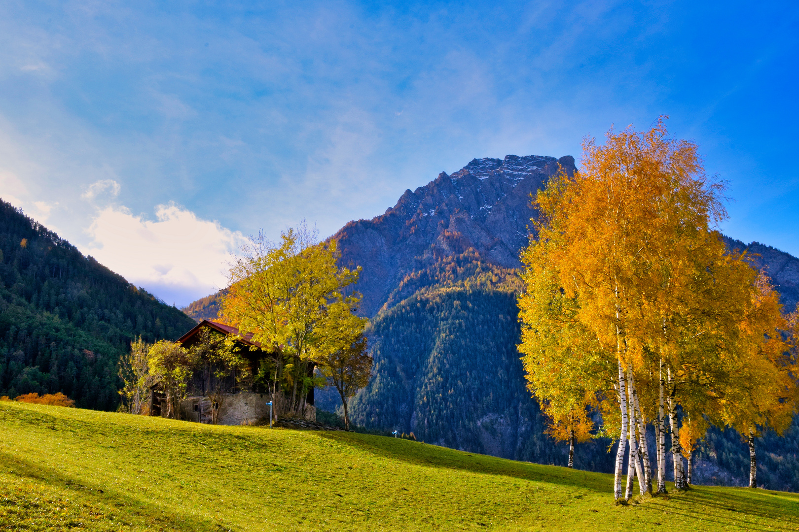 Herbststimmung