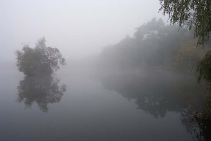 Herbststimmung